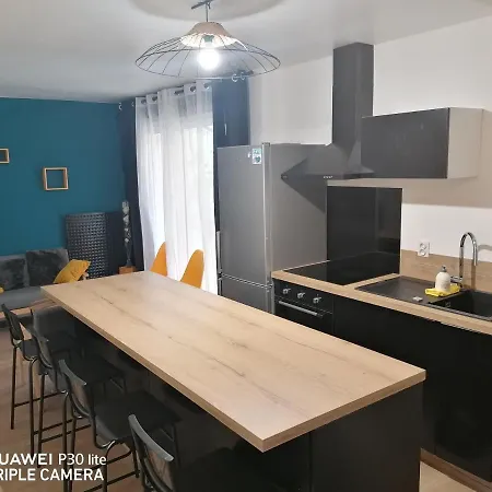 Colocation Dans Jolie Maison Avec Jardin Homestay Toulouse