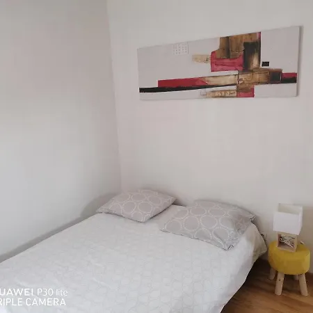Colocation Dans Jolie Maison Avec Jardin Homestay *