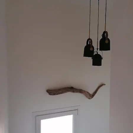 Alloggio in famiglia Colocation Dans Jolie Maison Avec Jardin Tolosa