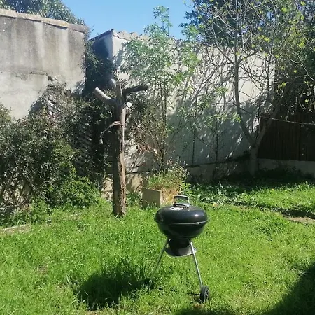 Colocation Dans Jolie Maison Avec Jardin